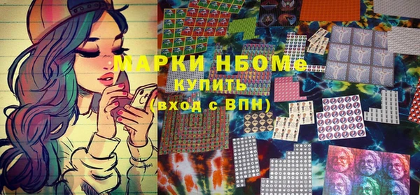 стаф Богородицк