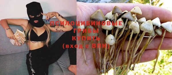 не бодяженный Богданович