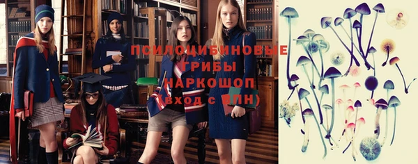 не бодяженный Богданович