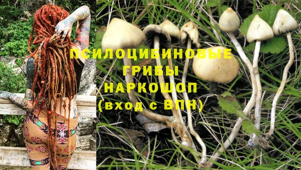 марихуана Беломорск