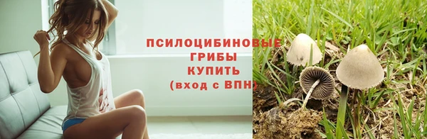спайс Белокуриха